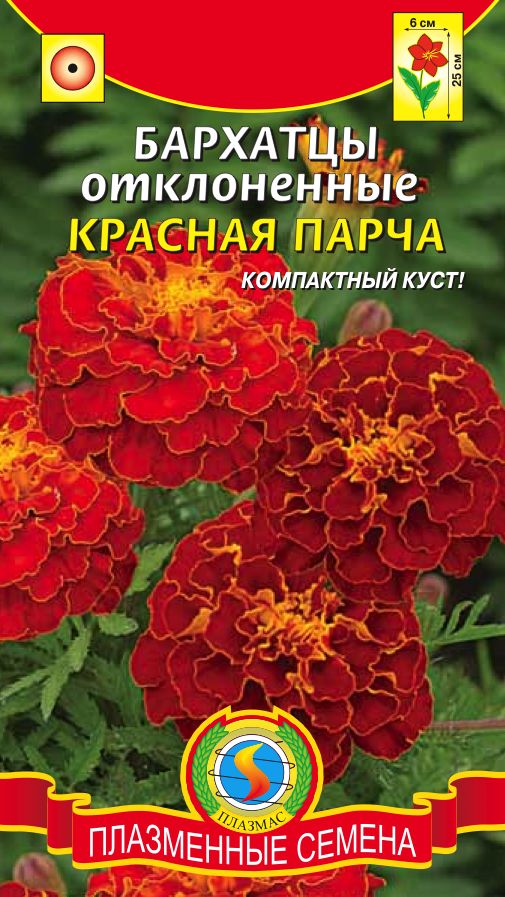 Кедр: как правильно посадить и ухаживать за деревом Как вырастить рукколу из семян - особенности посадки и ухода. Жми!