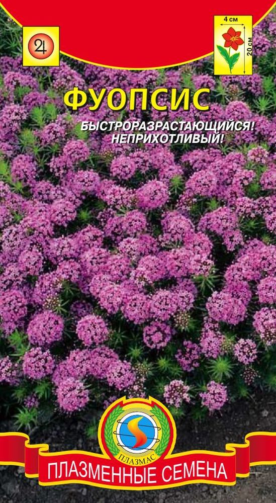Семена цветов для дачи Семена цветов для дачи