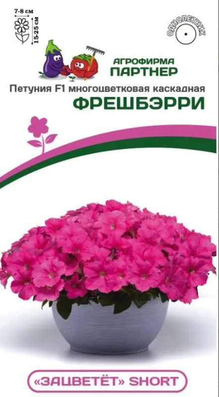 петуния каскадная партнер. петуния мими аврора f1 многоцветковая каскадная. петуния лагуна беатрис f1 многоцветковая. петуния каскадная шок вейв f1 дип перпл. петуния габриэла f1 многоцветковая.