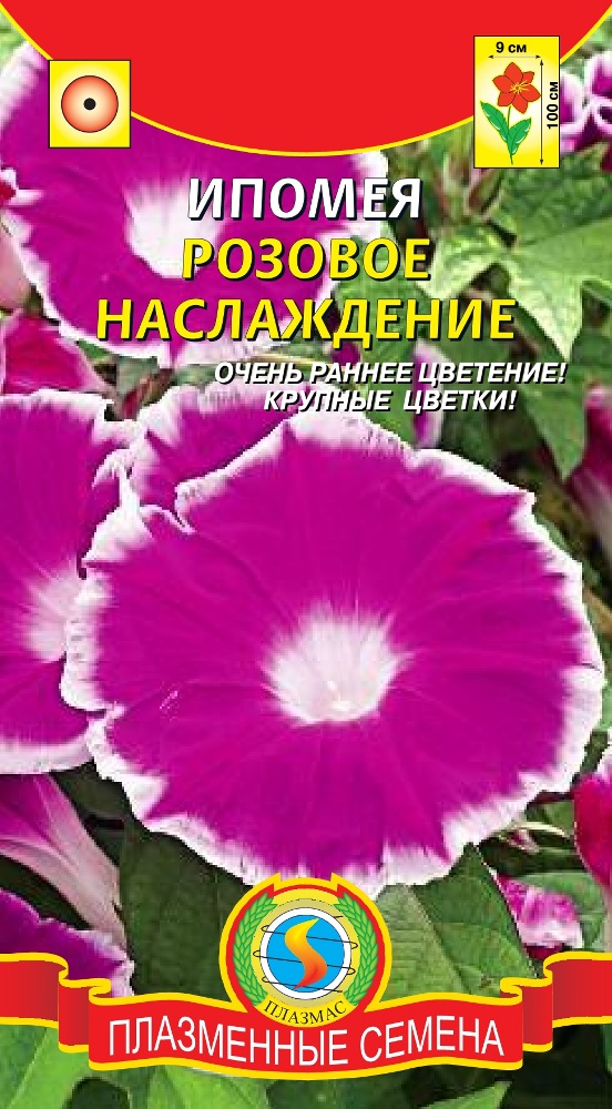 Плазменные семена. Ипомея Квамоклит розовая. Ипомея розовое наслаждение 0,3 г. Ипомея белая лебедь.